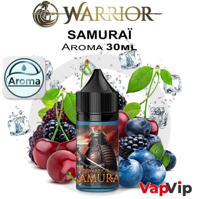 SAMURAÏ Warrior