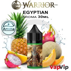 EGYPTIAN Warrior