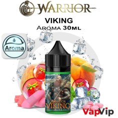 VIKING Warrior
