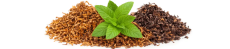 Menthol Cigarettes