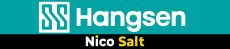 Hangsen Salt
