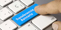Payment via Bank Transfer