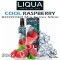 COOL RASPBERRY M&G E-liquido 50ml (BOOSTER) - LIQUA MIX & GO