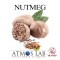 Flavor NUTMEG Concentrate - Atmos Lab