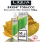 BRIGHT TOBACCO M&G Eliquid 50ml (BOOSTER) - LIQUA MIX