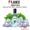 MINTED 50ml (BOOSTER) - TJuice