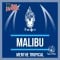 MALIBU Shake 'n' Vape E-liquido 50ml (BOOSTER) - Halo