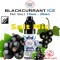 Nic Salt BLACKCURRANT ICE Nicotine Salts Eliquid 10ml - Dinner Lady