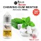 Aroma CHEWING-GUM MENTHE Concentrado - SolubArome