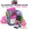 Nic Salt BLUEBERRY BUBBLEGUM - Drifter Bar Salts