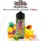 TROPICAL E-liquid 100ml (BOOSTER) - Puffin Rascal