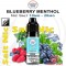 Nic Salt BLUE MENTHOL Sales de Nicotina e-líquido 10ml - Dinner Lady