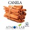 Flavor CANELA (CINNAMON) Concentrate - Atmos Lab