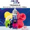 TRIANGLE e-líquido - Squid Juice