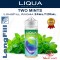 TWO MINTS Liqua