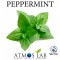 Flavor PEPPERMINT (Mentha piperita) Concentrate - Atmos Lab