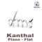 Kanthal Ribbon Flat - 1 meter Heating wire