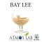 BAY LEE - IRISH CREAM 10ml - Atmos Lab en España