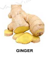 All flavors of ginger to make e-liquids for vapingr.