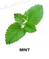 All flavors of mint to make e-liquids for vaping.