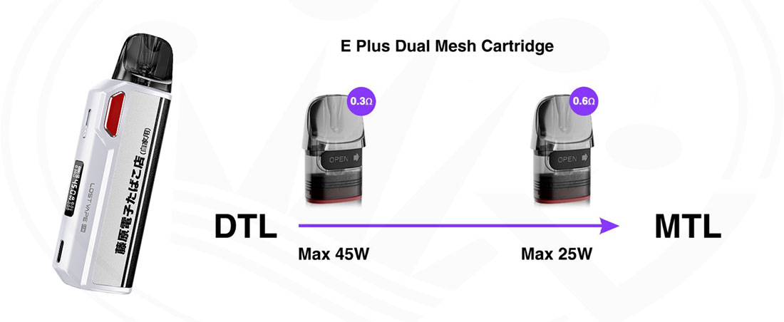 E Plus Dual Mesh