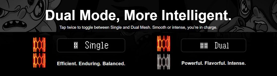 Dual Mesh